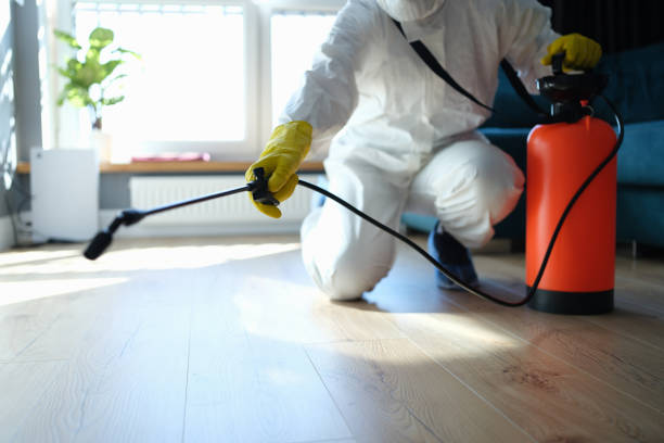 Reliable Blood Cleanup contractor in Rumsey, CA by Trauma Clean Pros